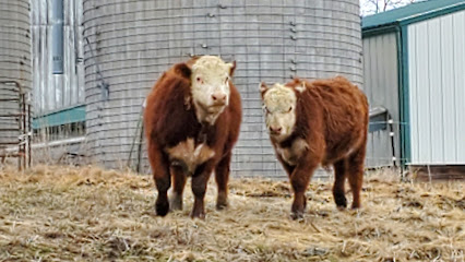 172395 bohan family farm
